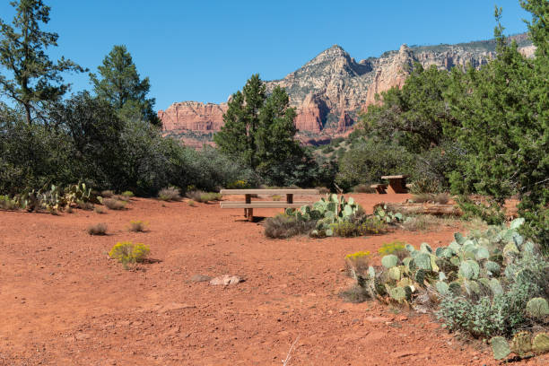 vista da schnebly hill road a sedona, arizona - schnebly hill formation foto e immagini stock