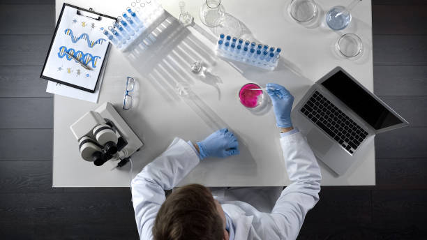 istock Laboratorian combining two chemical agents in dish, scientific research top view 1026202802