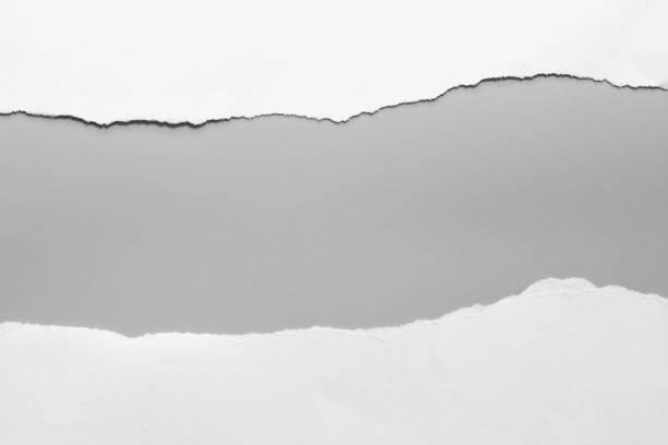 istock white torn paper on gray background. collection paper rip 1026205712