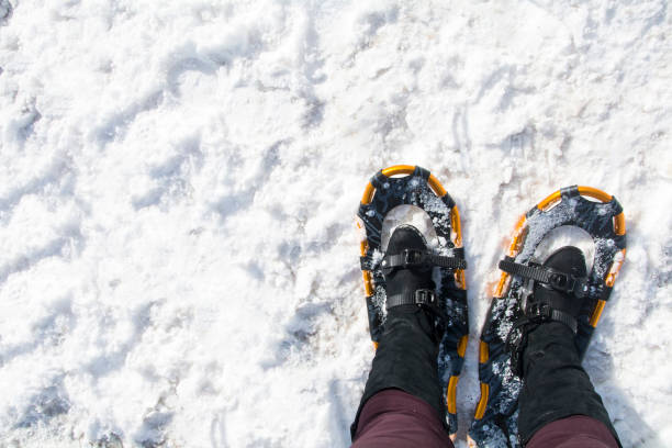 snowshoeing in the winter snow of the wasatch mountain range in utah