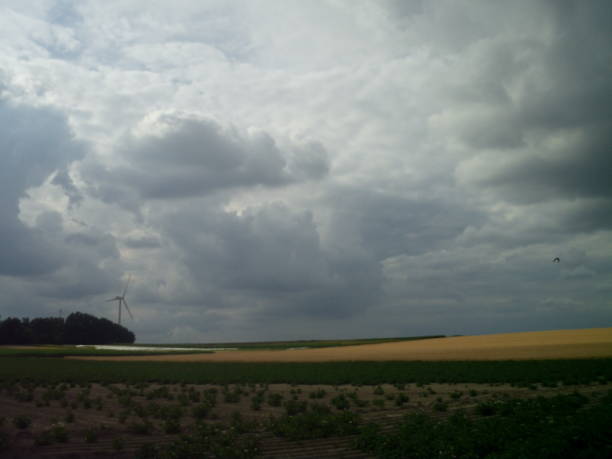 istock Superb thunderstorm sky over country wheat crop fields 1026223706