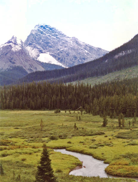 istock High mountain valley showing a small stream running from a glacier. 1026227074
