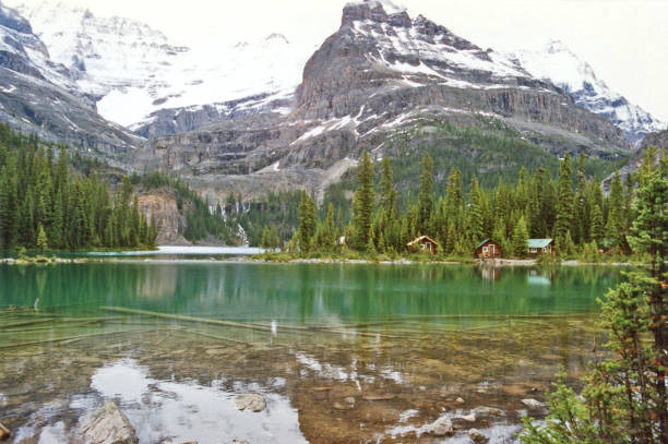 istock Calm Lake O'Hara with reflecting lake cabins 1026227090
