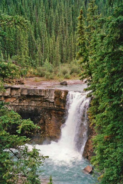 istock Banff river headwaters coming from glacier and flowing through forest. 1026227094