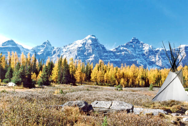 マウンテン エルク狩りテントに宿泊。秋の色 - lodging ストックフォトと画像