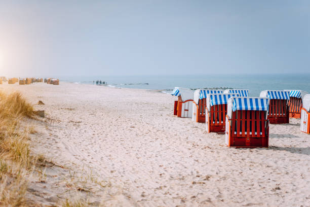 azul rayas techados sillas en playa en travemunde en luz del sol. hierba de la duna en primer plano. del norte de alemania - deck chair summer grass outdoor chair fotografías e imágenes de stock