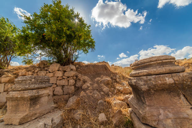 istock The Ancient City of Jerash in Jordan 1026246446