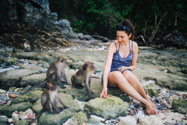 istock Young woman playing with monkeys on the Monkey Beach, Phi Phi islands, Thailand 1026252122