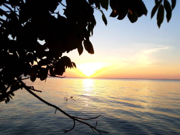 istock Regiao Amazonica - Tapajos - To - Brazil 1026258178