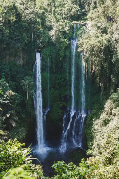 Photo of Sekumpul Bali waterfalls