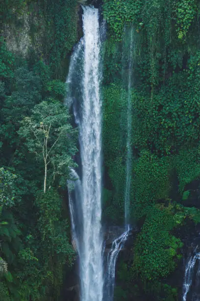 Photo of Sekumpul Bali waterfalls