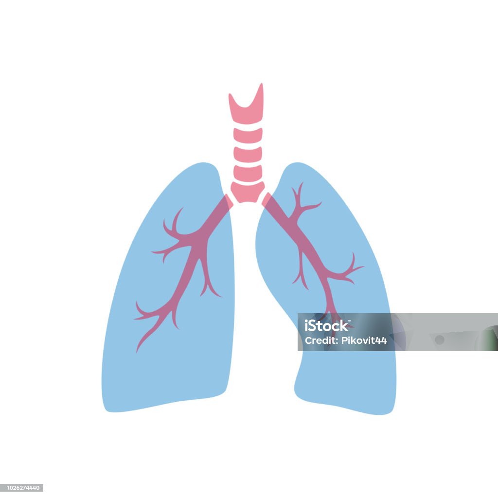 Isolerade vektorillustration av lunga - Royaltyfri Abstrakt vektorgrafik Isolerade vektorillustration av lunga - Royaltyfri Abstrakt vektorgrafik