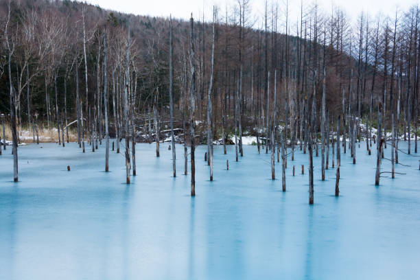 istock Blue pond in early winter Biei 1026276796