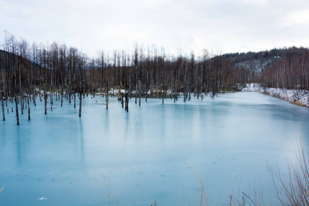 istock Blue pond in early winter Biei 1026276910