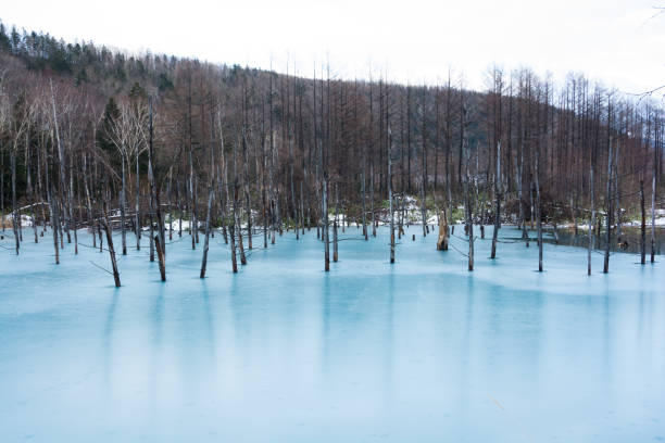 istock Blue pond in early winter Biei 1026276936