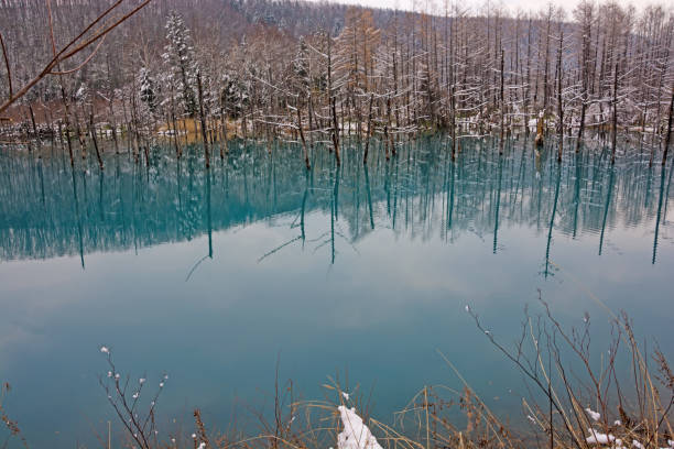 istock Blue pond in early winter Biei 1026277004