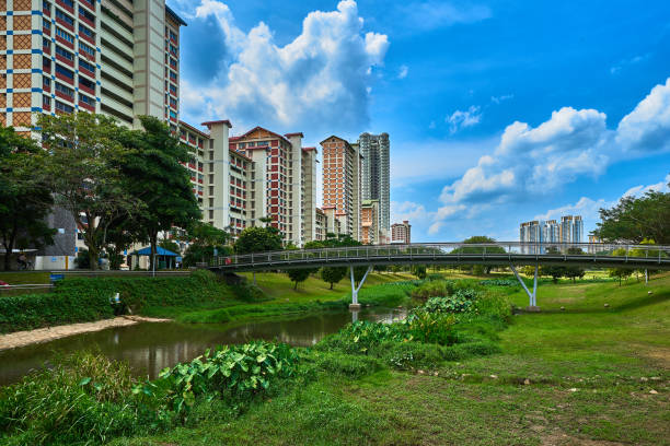istock Bishan Ang Mo Kio Park 1026282262