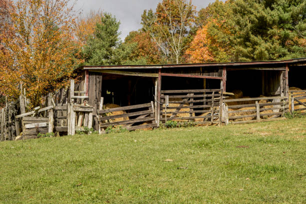 istock On the Farm Hay for the Livestock 1026282706