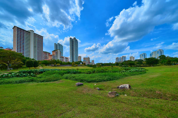 Bishan Ang Mo Kio Park.