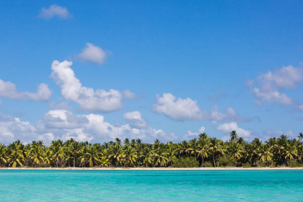 istock Blue sky with clouds and coast with palm trees and azure water 1026298432