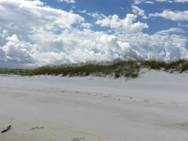 istock Beautiful Destin, Florida Beach - 2 1026303384