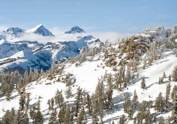istock Winter wonderland in Mammoth Lakes, CA. 1026309126