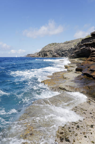 istock Waves hitting rocky coastline in Antigua 1026314482