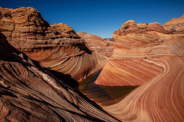 istock Coyote Buttes North - The Wave 1026325626