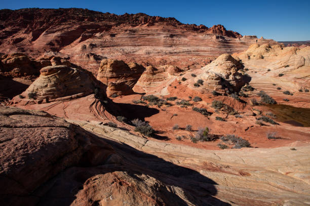 istock Coyote Buttes North - The Wave 1026328032