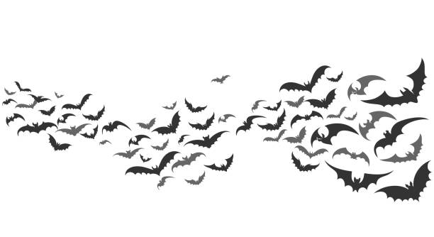 Bats flying set isolated on white Bats flying. Vector vampire bat set isolated on white background, halloween scary creepy animals in sky horizontal path divider bat stock illustrations