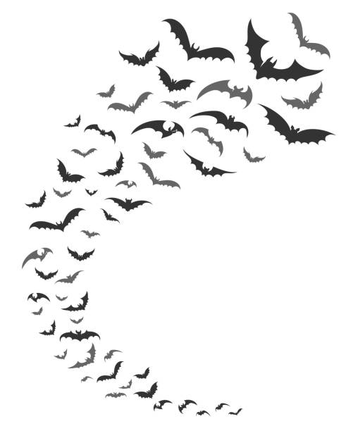 Bats swarm silhouette Bats swarm. Vector dark bats silhouettes swirl flying for nocturnal halloween october nature decoration bat stock illustrations