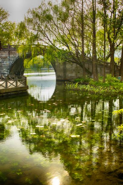 istock a Chinese garden with a lake and a bridge in late spring 1026336530