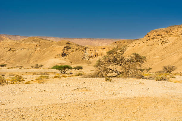 istock Landscape in the Southern Israel. 1026346920