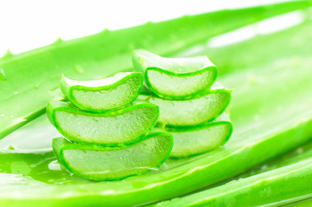 istock Cut Aloe Vera leaves shows transparent gel inside. 1026352436