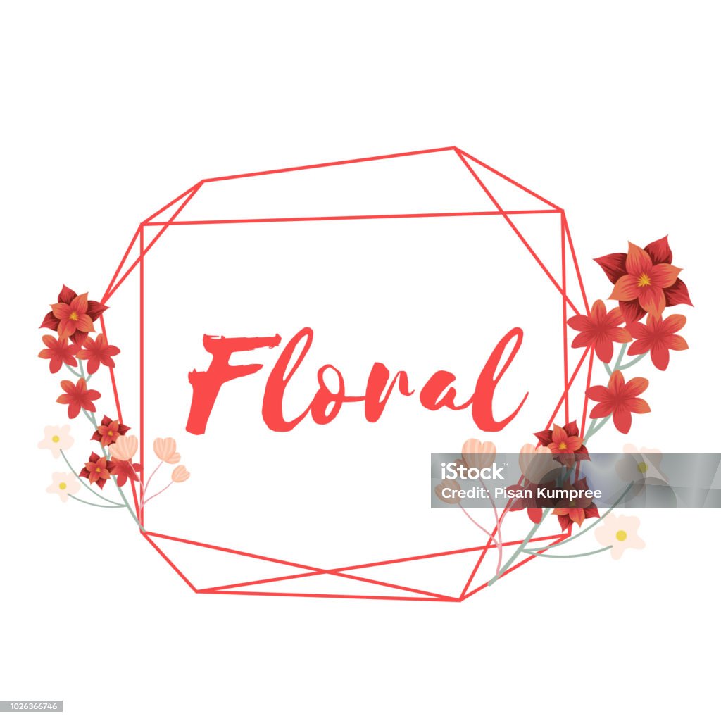 Floral Flower Geometry Frame White Background Vector Image Stock ...