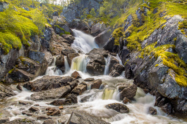 norwegian waterfall with long exposure and blurred water flow - stream forest river waterfall imagens e fotografias de stock