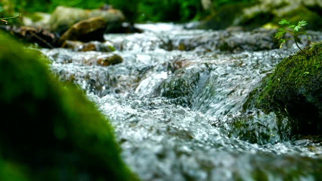 Stream flowing water