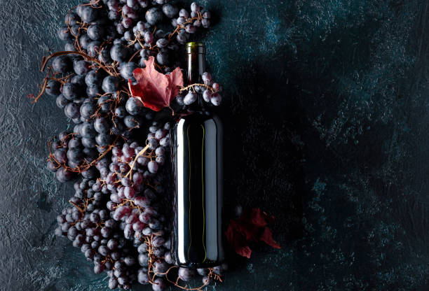 istock Bottle of red wine and grapes. 1026390842