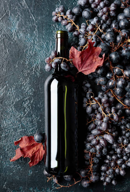 istock Bottle of red wine and grapes. 1026390868