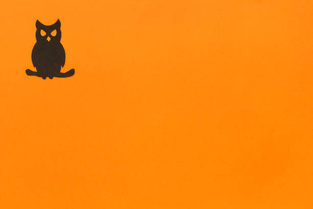 Halloween background. Black paper owl on orange background Happy halloween concept, space for text. Top view. Mockup, Layout Flat lay