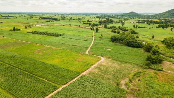istock field land with mountain at countryside 1026396544