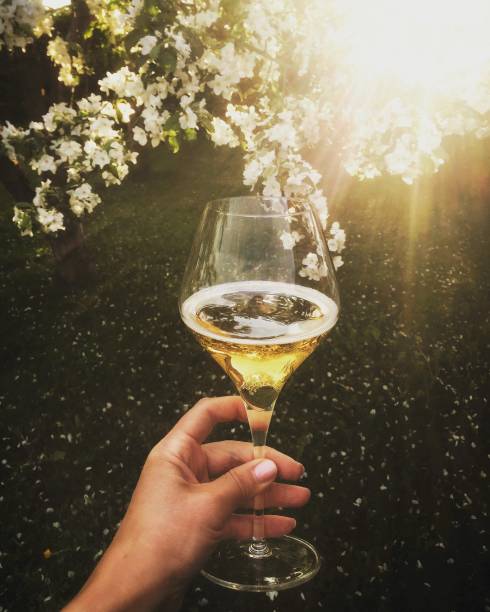 Single champagne flute at an English garden party in Summer. It is being held up with a clear blue sky in the background.