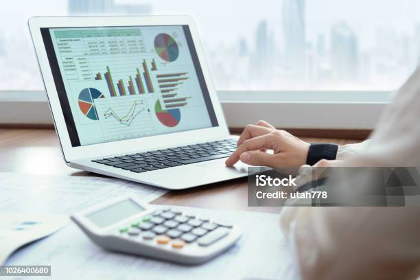 Financial Spreadsheet Report Stock Photo - Download Image Now - Finance, Data, Control