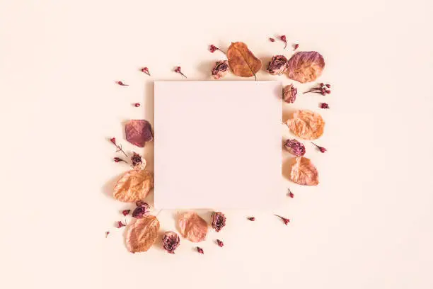 Photo of Autumn composition. Paper blank, dried flowers and leaves on pastel beige background. Autumn, fall concept. Flat lay, top view, copy space