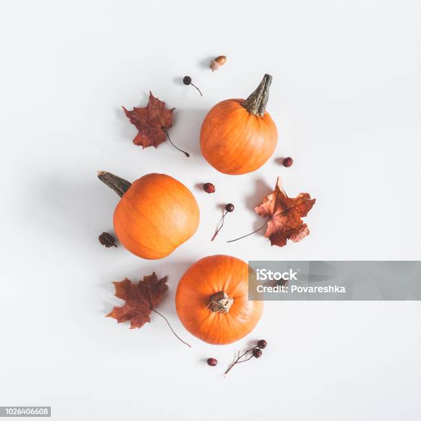 Composición De Otoño Calabazas Hojas Secas Sobre Fondo Gris Pastel Otoño Otoño Concepto De Halloween Vista Plana Endecha Superior Cuadrado Foto de stock y más banco de imágenes de Calabaza gigante