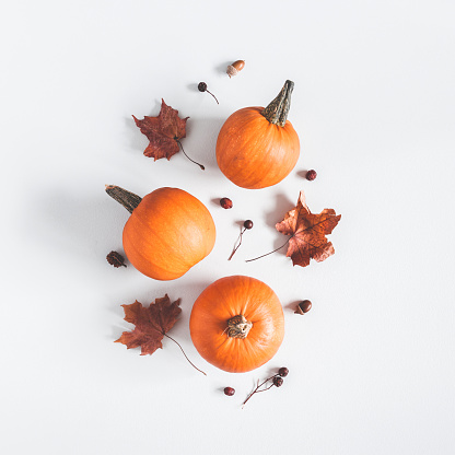 Autumn composition. Pumpkins, dried leaves on pastel gray background. Autumn, fall, halloween concept. Flat lay, top view, square