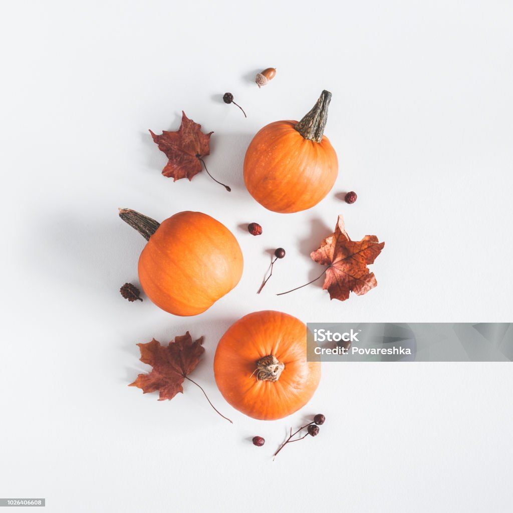 Autumn composition. Pumpkins, dried leaves on pastel gray background. Autumn, fall, halloween concept. Flat lay, top view, square Pumpkin Stock Photo