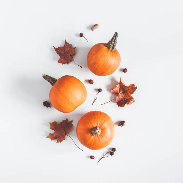 autumn composition. pumpkins, dried leaves on pastel gray background. autumn, fall, halloween concept. flat lay, top view, square - holiday autumn season halloween imagens e fotografias de stock