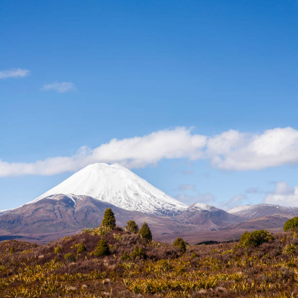 istock Mount Ngauruhoe New Zealand Volcano 1026406972