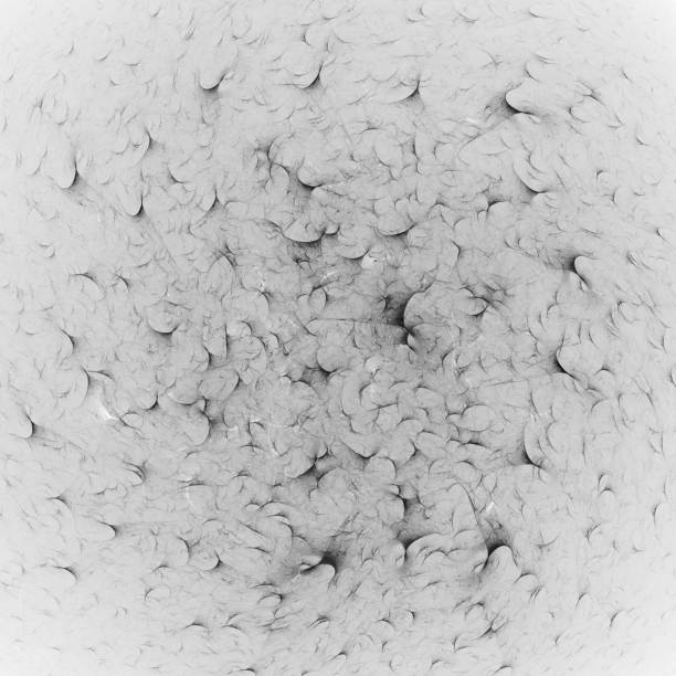 istock Monochrome abstract fractal illustration 1026414726